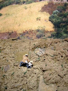 Diorama in Museum of Anthropology, Mexico City