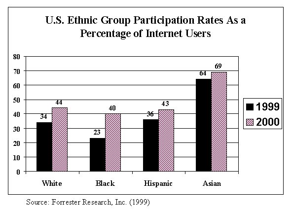 US ethnic group partcipation rates