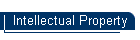 Intellectual Property