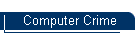 Computer Crime
