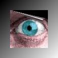 eye
