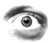 title graphic