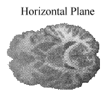 Horiz.gif (10757 bytes)